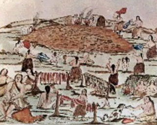 Base de datos Fotogr&aacute;fica Flori&aacute;n Paucke