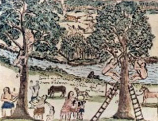 Base de datos Fotogr&aacute;fica Flori&aacute;n Paucke