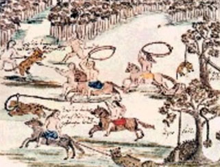 Base de datos Fotogr&aacute;fica Flori&aacute;n Paucke