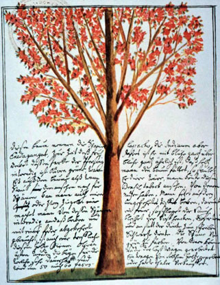 Base de datos Fotogr&aacute;fica Flori&aacute;n Paucke