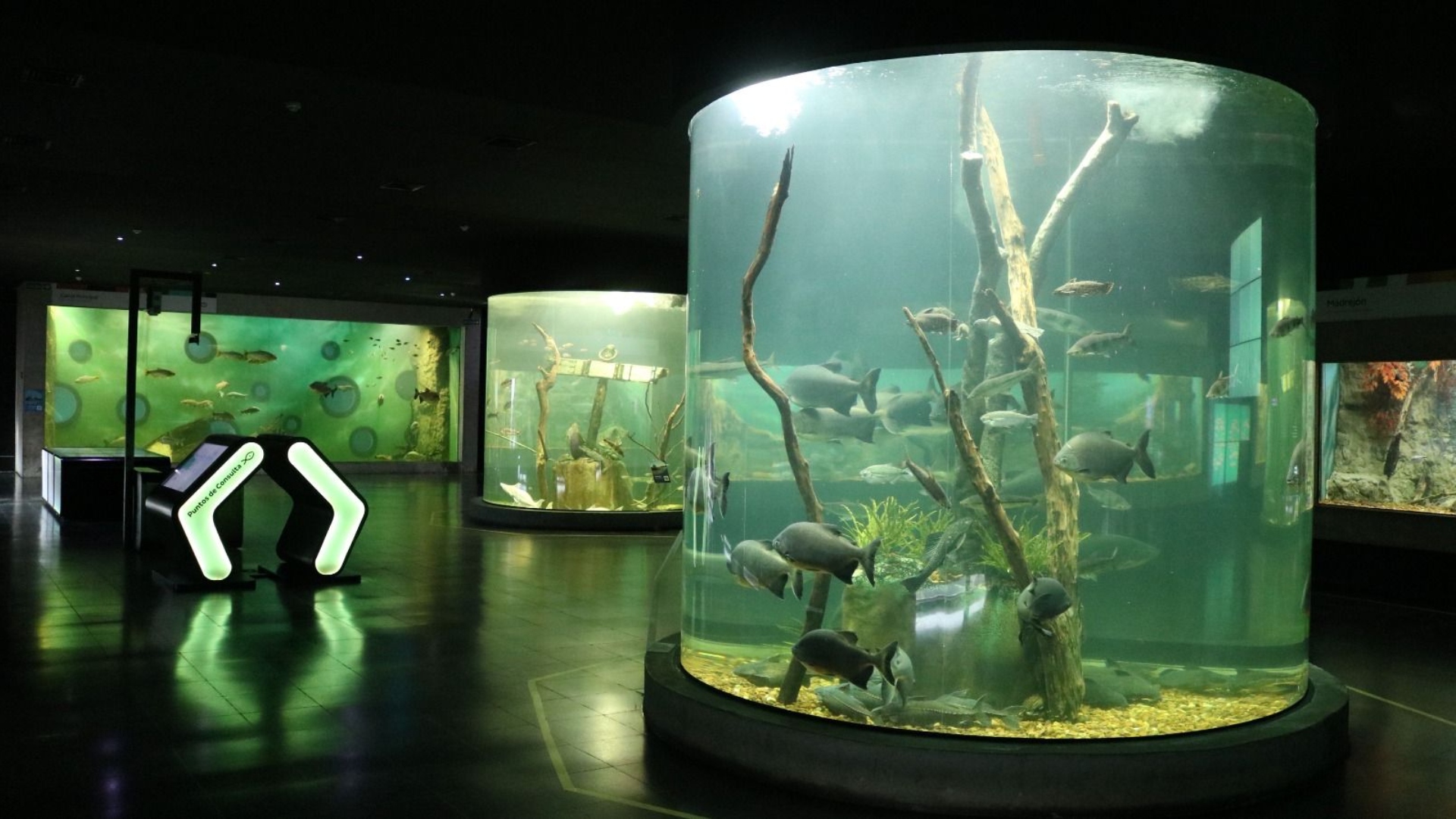 Centro científico, tecnológico y educativo – Acuario del Río Paraná