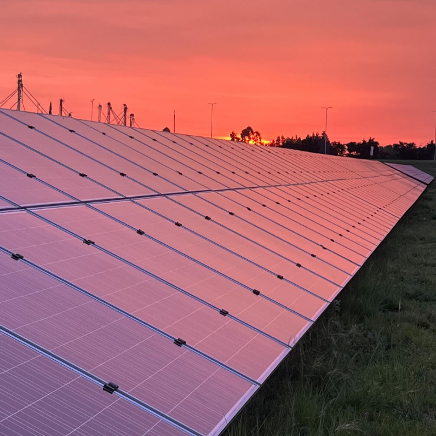 Liga de provincias bioenergéticas