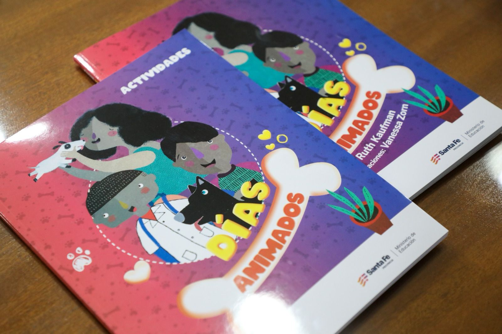 Raíz – Plan de Alfabetización Santafesino