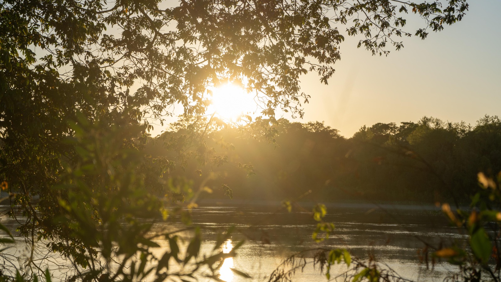 Protección de la naturaleza