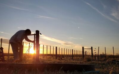 Capacitación laboral en mantenimiento de instalaciones rurales