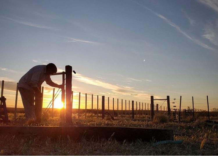 campo-alambrador-alambrar-1-750×536