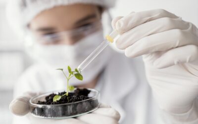 Auxiliar de laboratorio en calidad de semilla