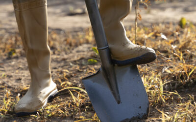 Capacitación laboral en implantación y manejo de pasturas para un uso racional