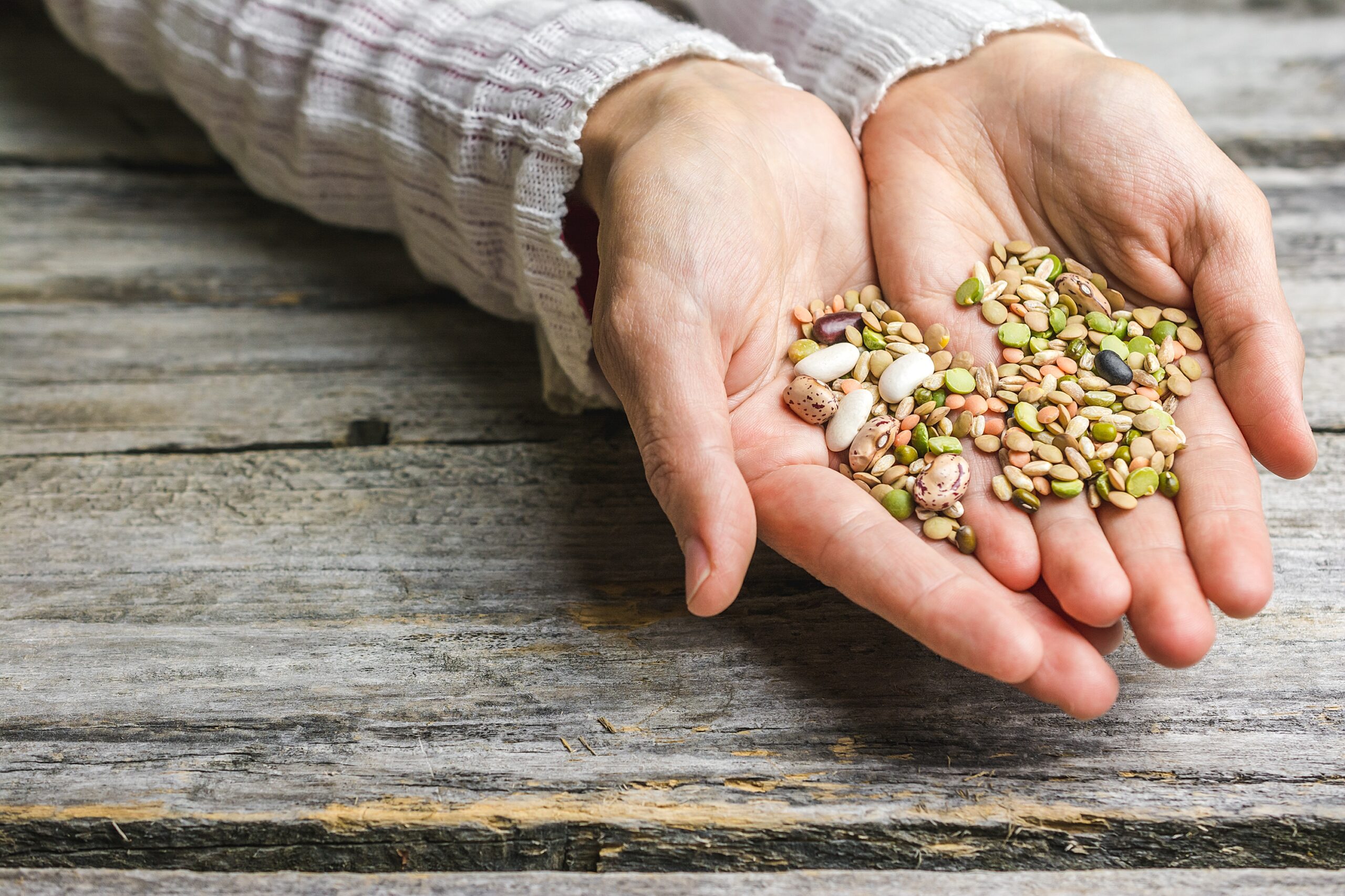 Closeup shot of female hands holding mixed beans