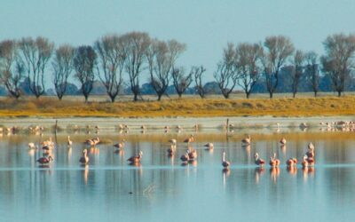 Turismo Sostenible orientado a la Reserva Natural Laguna del Hinojo