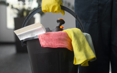 Auxiliar en Limpieza y Mantenimiento