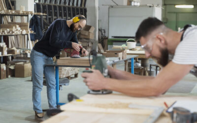 Ingresante al sector productivo