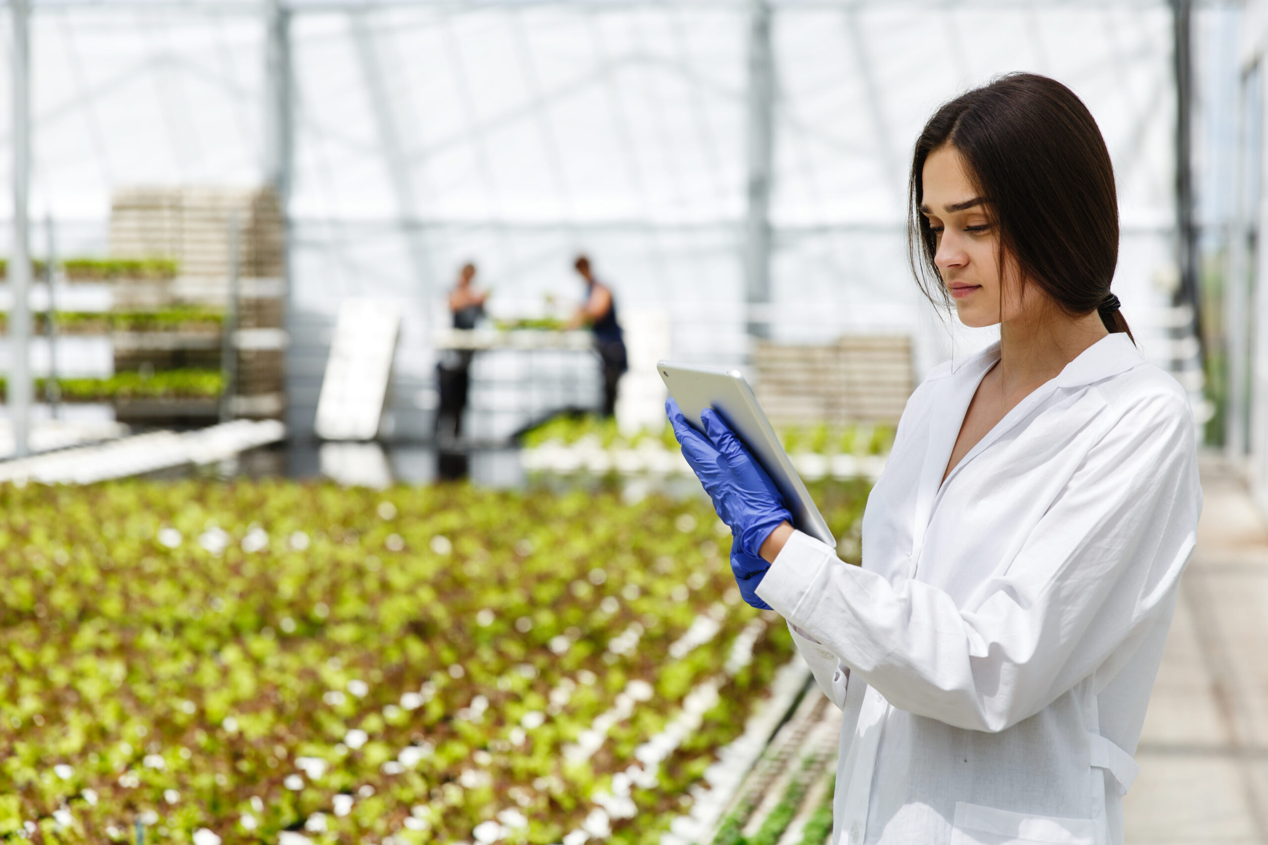 Female researcher reads information from a tablet standing in th