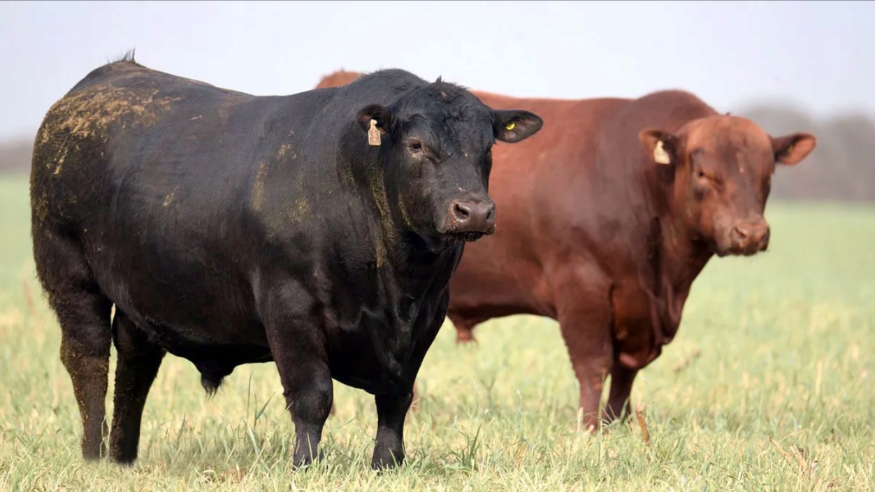 WhatsApp Image 2024-08-19 at 1.59.01 PM