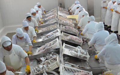 OPERARIO EN ELABORACIÓN Y MERCADEO DE PRODUCTOS DE PESCA FLUVIAL