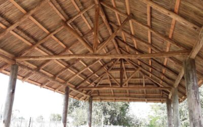 CONSTRUCCIÓN DE QUINCHOS DE PAJA