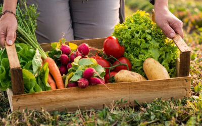 CAPACITACION LABORAL EN HUERTA AGROECOLOGICA