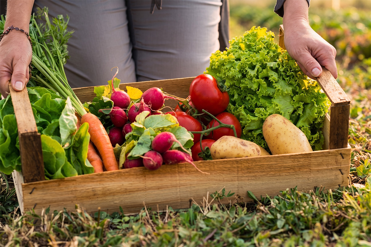 huerta-agroecologica