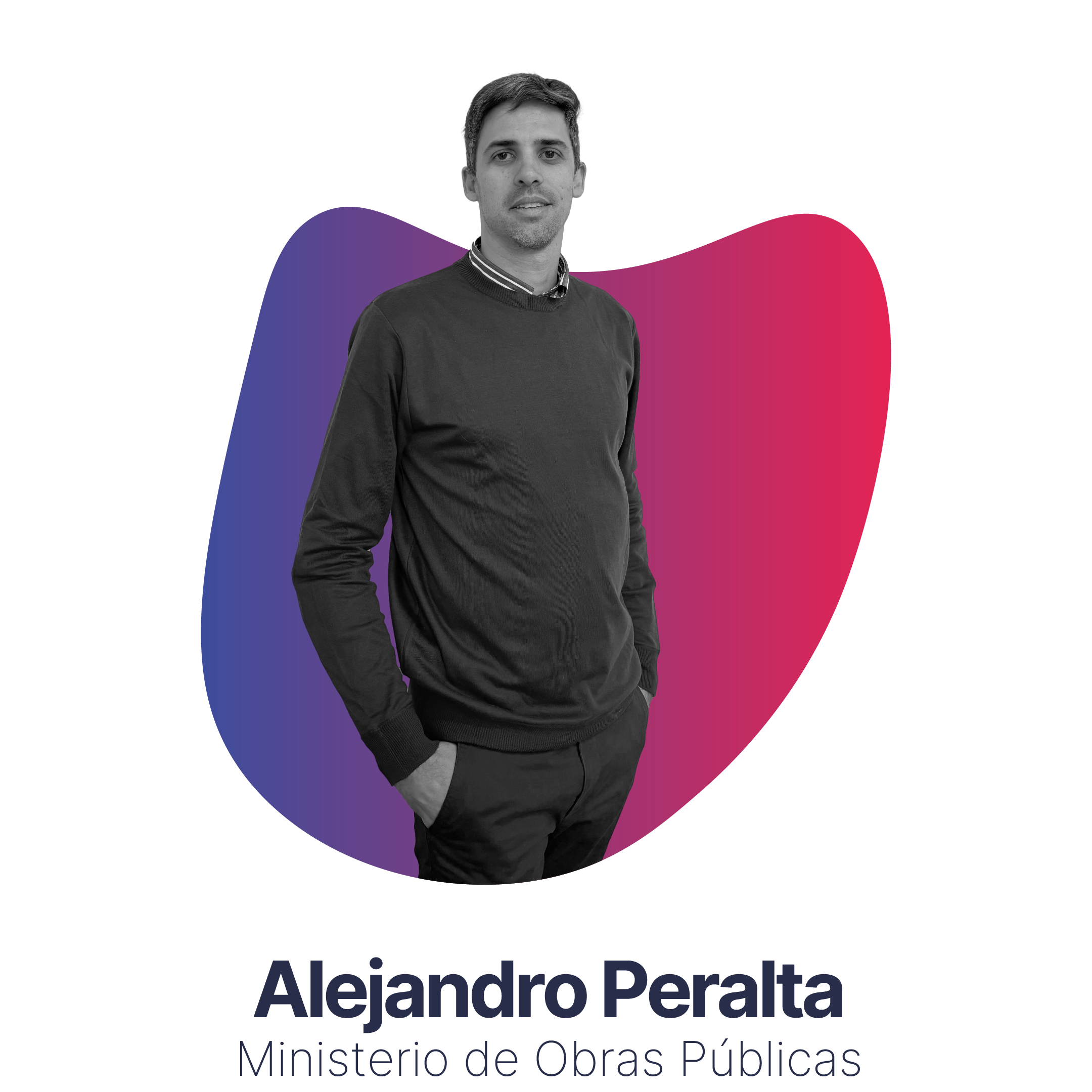 Descripción de la imagen