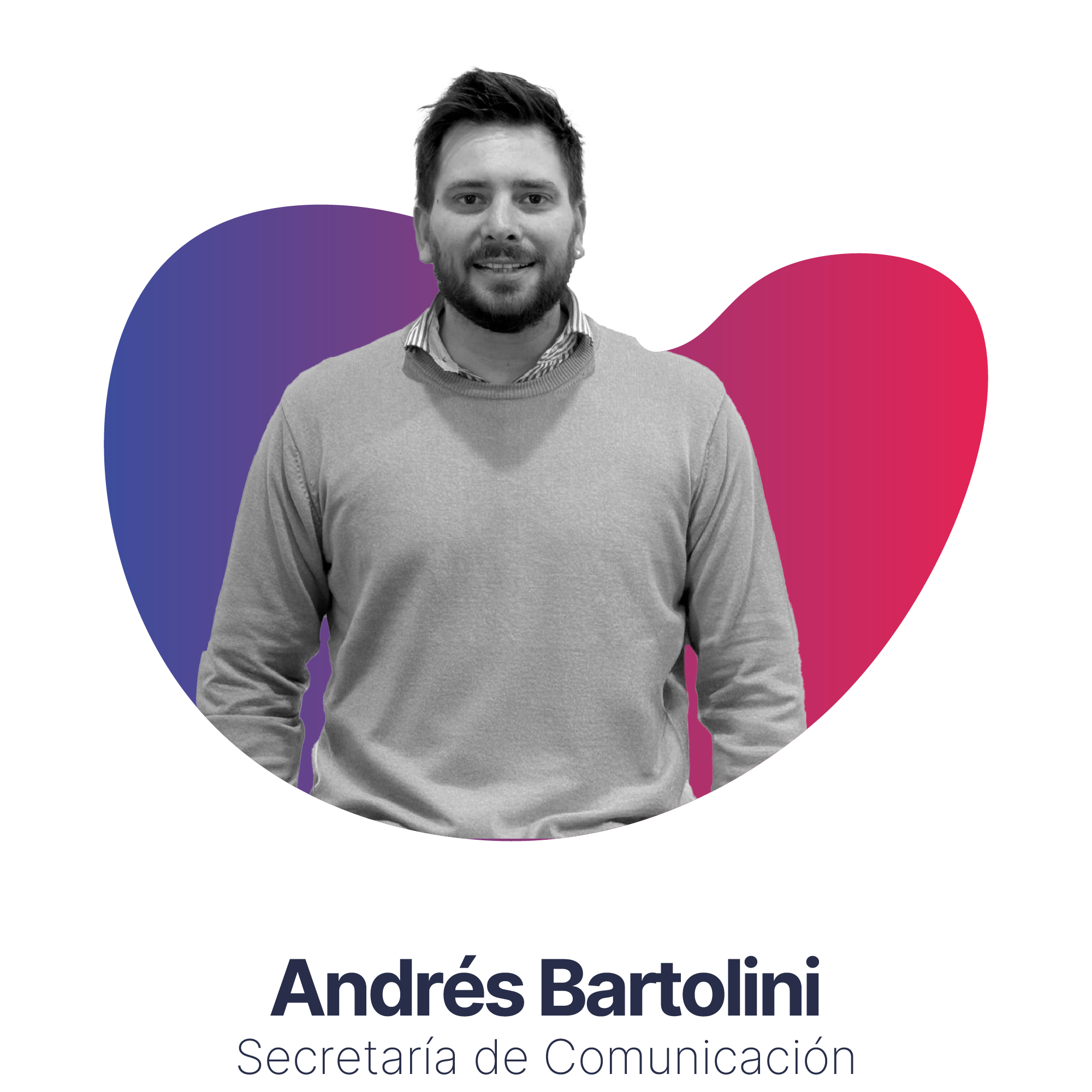 Descripción de la imagen