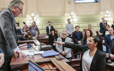 Verónica Colombo juró como convencional reformadora