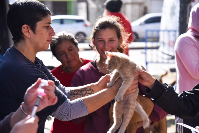 Barrio Hume, ciudad de Rosario