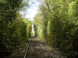 Vida de campo y paisajes históricos en Venado Tuerto