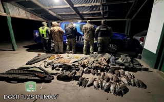 Fuertes operativos contra la caza y la pesca ilegal en Santa Fe, con secuestros y detenidos