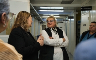 Provincia inició dos semanas intensivas de cirugías de vesícula y amígdalas en diez hospitales